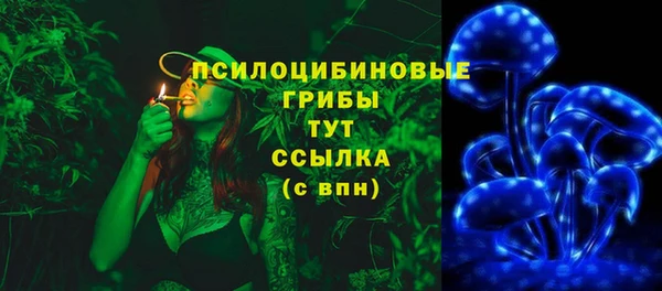 а пвп мука Алзамай
